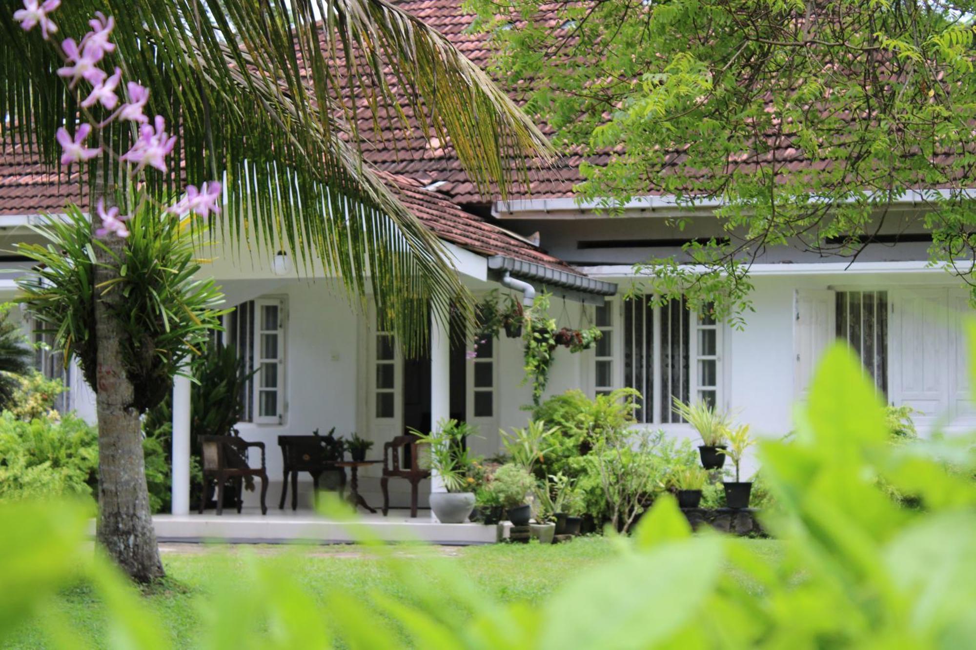 Sun And Surf Rest Hotel Ahangama Kültér fotó