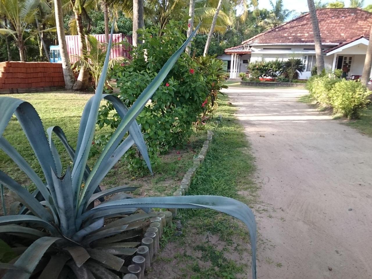 Sun And Surf Rest Hotel Ahangama Kültér fotó